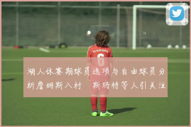 湖人休赛期球员选项与自由球员分析詹姆斯八村塁斯玛特等人引关注